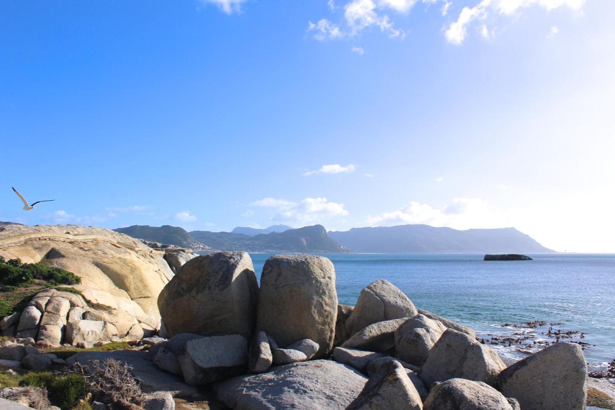 Boulders Beach House Simon's Town Eksteriør billede